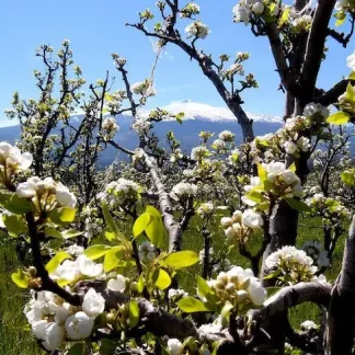 Cosa fare alle Gole dell Alcantara: degustazione di vini in Tenuta collocata nella Valle dell'Alcantara