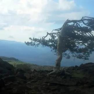 Escursioni sull'Etna: trekking per un viaggio avventura