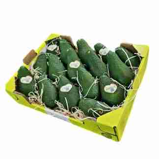 Avocado Ettinger
