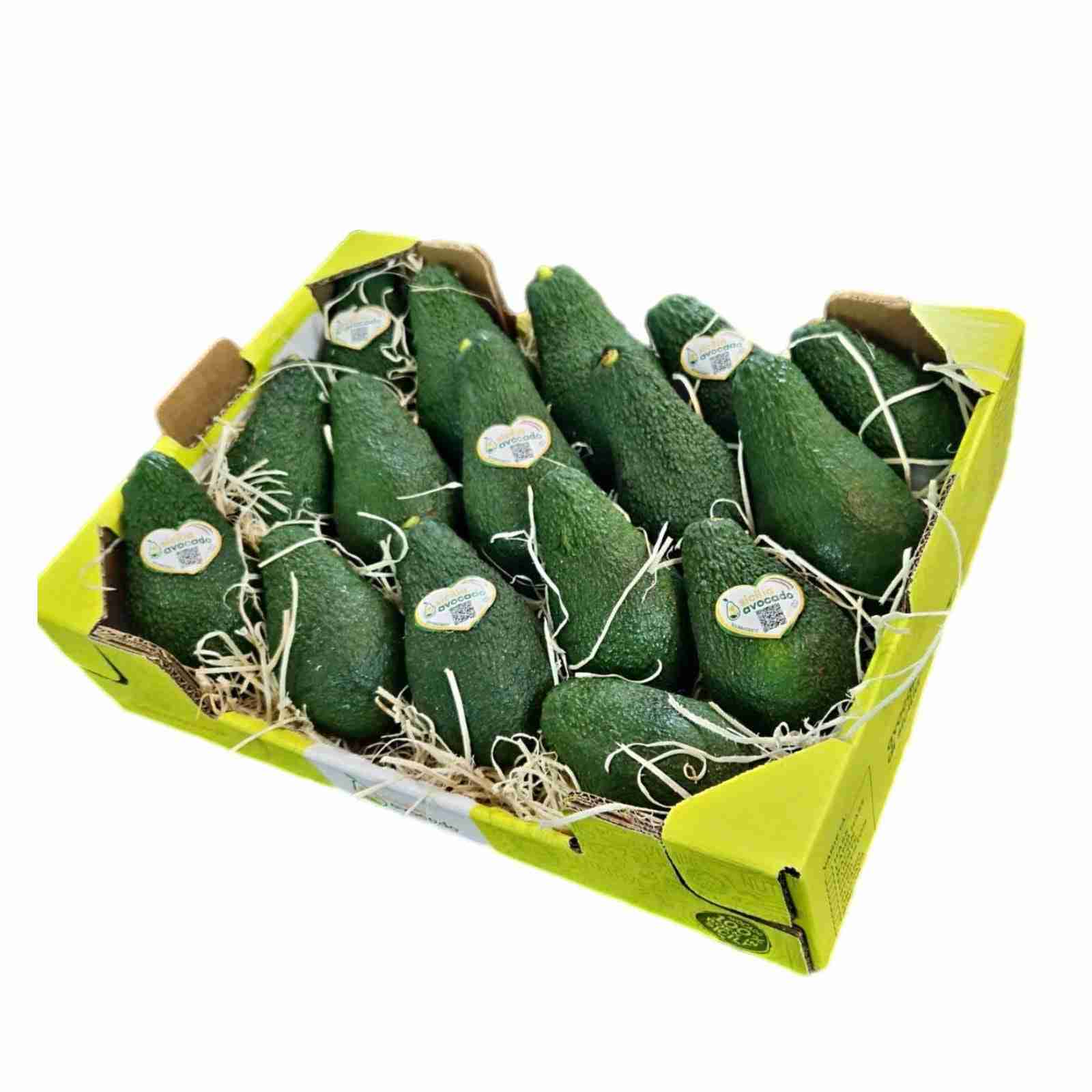 Avocado Ettinger