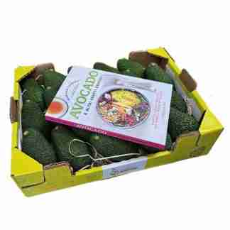 Avocado Hass e libro ricette