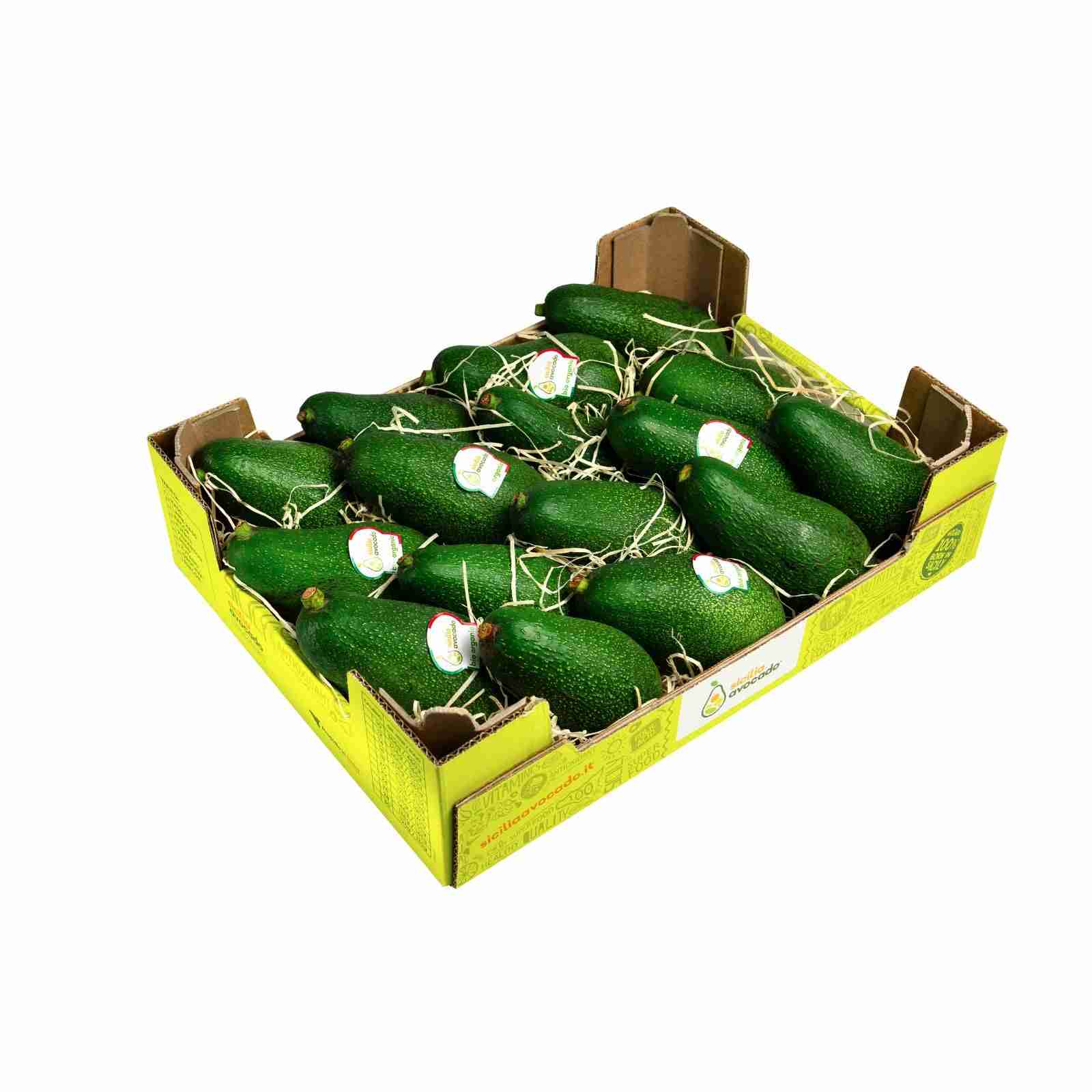 Avocado Fuerte