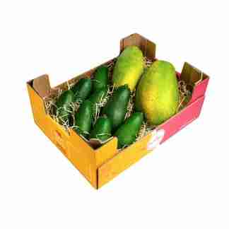 Tropical Box- Avocado e Papaya