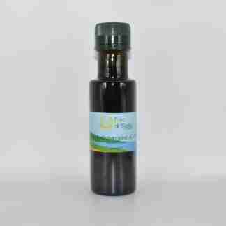 Olio EVO