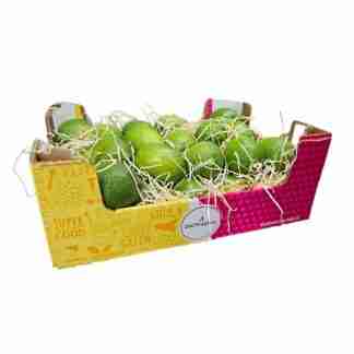 Limoni Bio dell'Etna