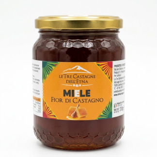 Miele fior di Castagno 500g