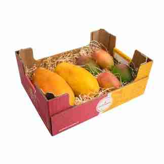 Tropical Box- Mango e Papaya