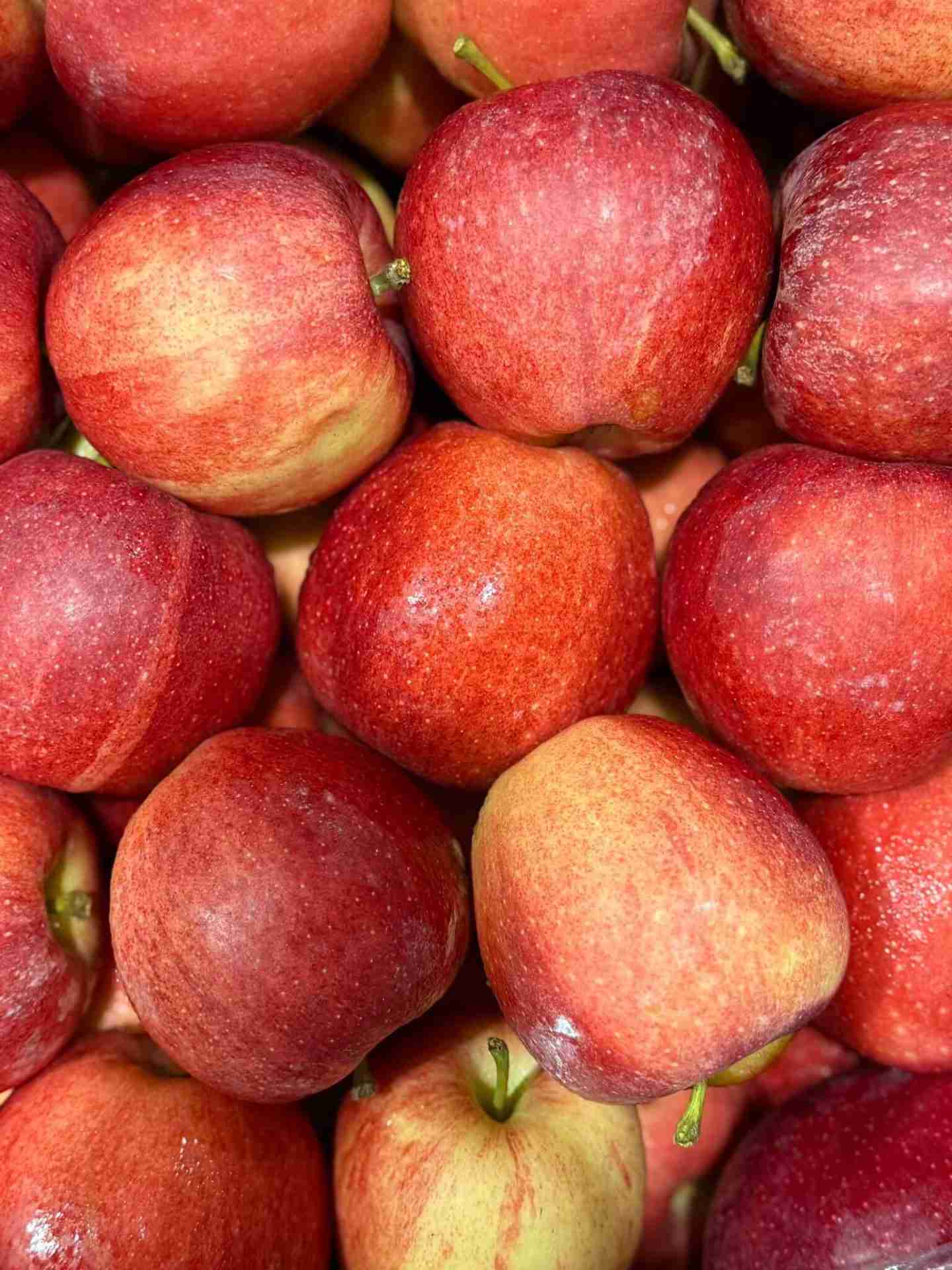 Meline Royal 1kg - Piccoli Frutti Rossi e Croccanti