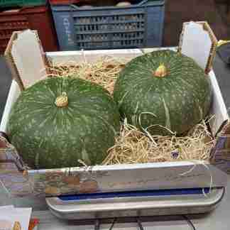 Zucca Delica 1,5-2kg - Dolcezza Siciliana