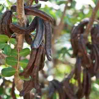 Carrube Siciliane 1kg - Naturali ed Essiccate al Sole