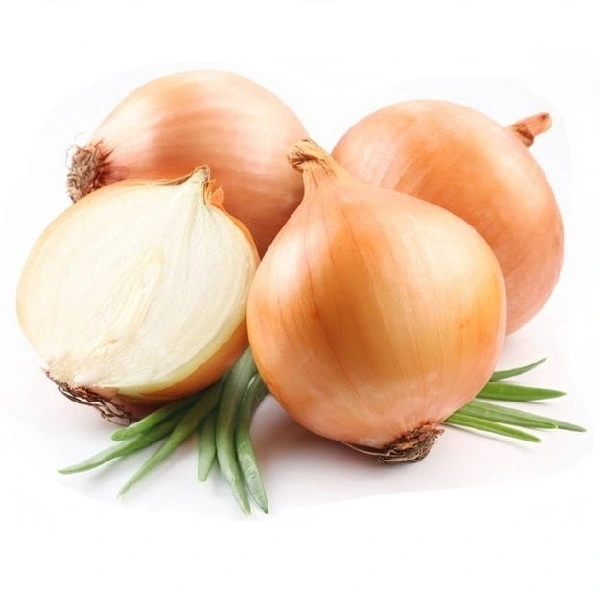 Cipolle – 1 kg