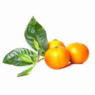 Clementine