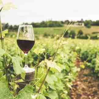 Vini, Birre, Alcolici e Bevande Siciliani