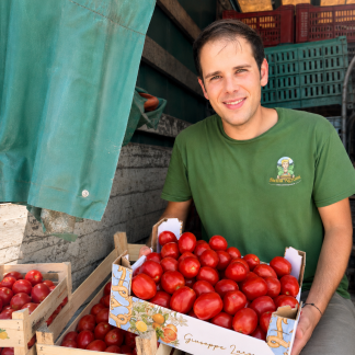 Cassetta Pomodoro da Salsa Sicilia Agrumi - Ideale per Conserve