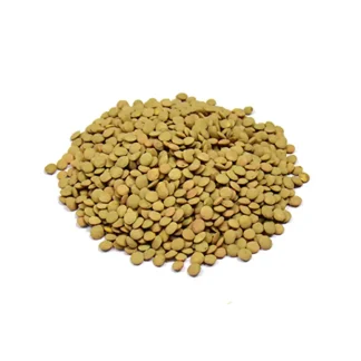 Lenticchie – 500 gr
