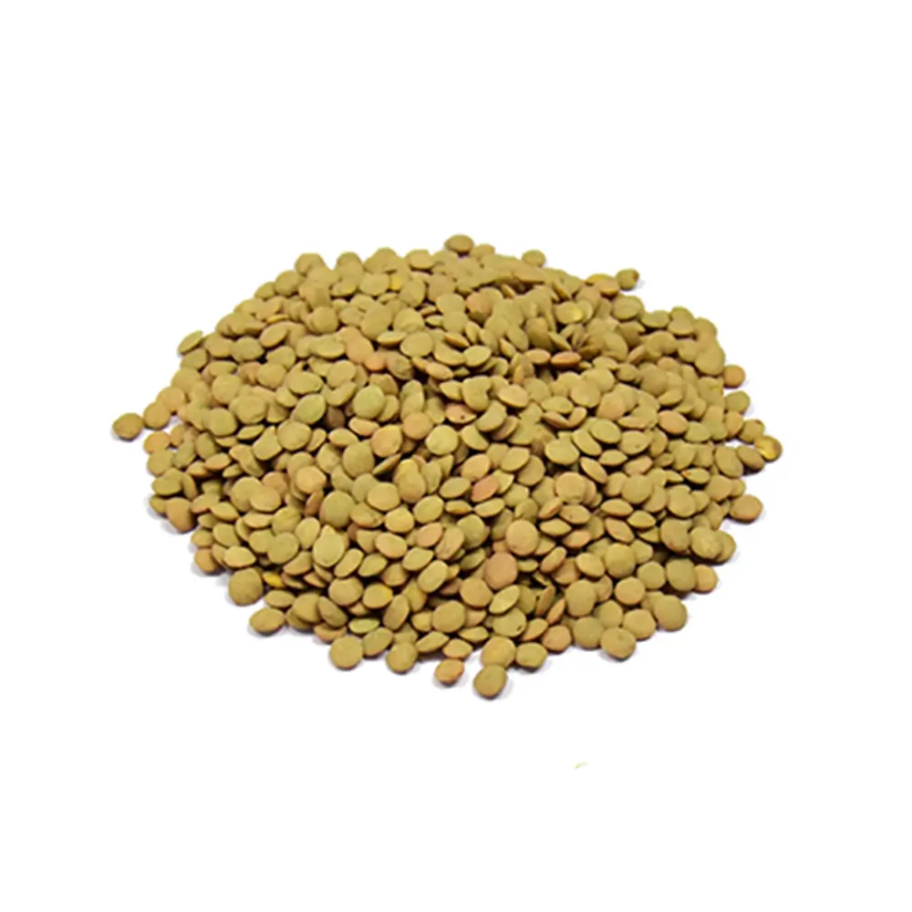 Lenticchie – 500 gr