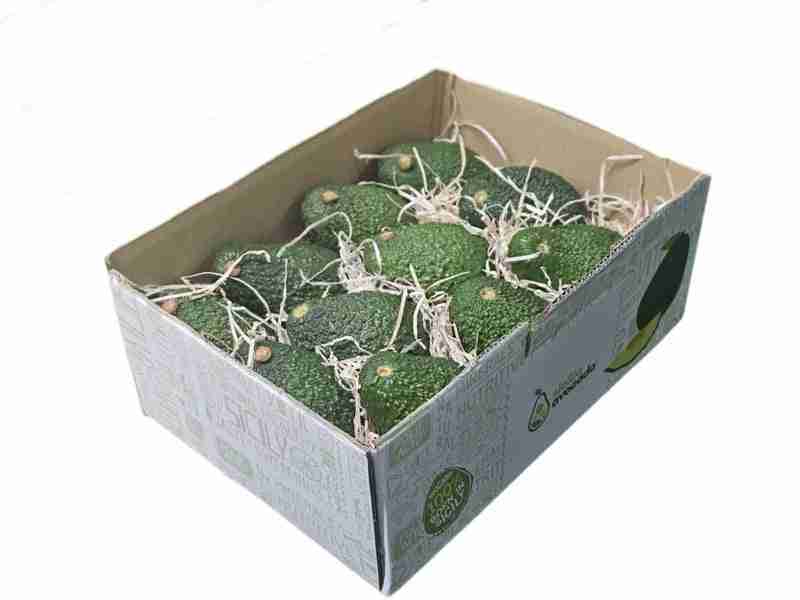 Snack Box avocado hass